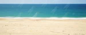 Ritrovato un cadavere in spiaggia tra Riace e Camini item-thumbnail