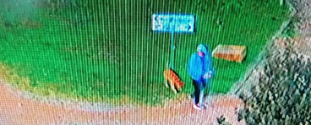 Crotone: atti vandalici nei Giardini di Pitagora, identificato un minorenne