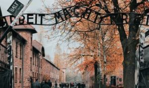 Giorno della memoria: ricordare quel che è stato affinchè non si ripeta item-thumbnail