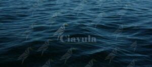 item-thumbnail