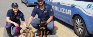 La Polizia di Stato salva tre cani che vagavano in autostrada item-thumbnail