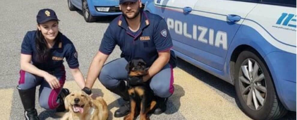 La Polizia di Stato salva tre cani che vagavano in autostrada
