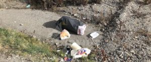 Caulonia, ancora rifiuti abbandonati nei pressi della fiumara Amusa item-thumbnail