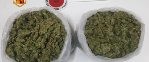 Sorpresi a trasportare 2kg di marijuana, quattro arresti in Calabria item-thumbnail