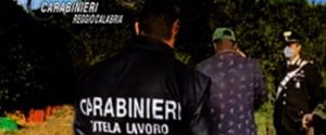 Lavoratori in nero in tre aziende agricole nella Piana di Gioia Tauro: sanzioni per oltre 50 mila euro item-thumbnail