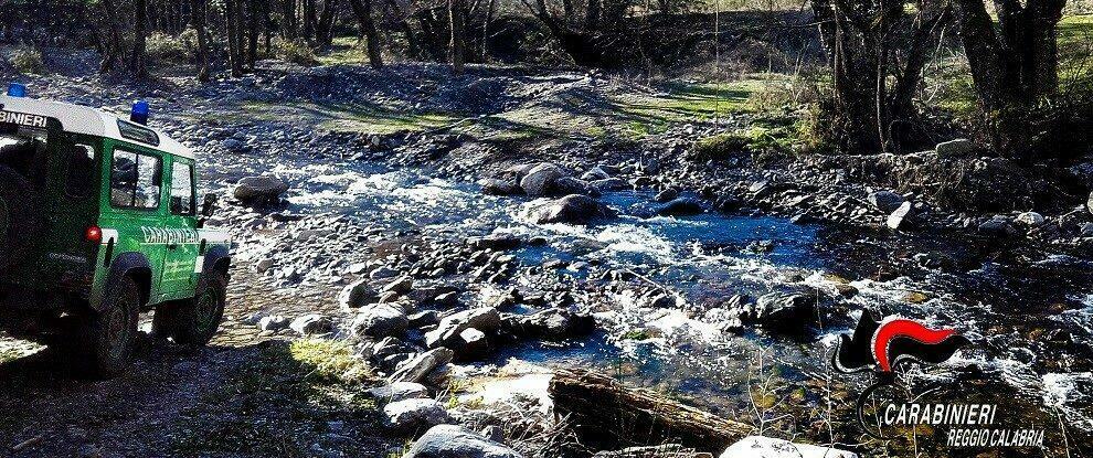 Sorpresi a tagliare legna all’interno del Parco Nazionale d’Aspromonte: denunciate due persone di Bovalino