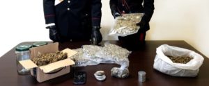 Beccato con oltre 1,5kg di marijuana nascosta dietro le tende da campeggio, ai domiciliari un cittanovese item-thumbnail