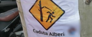 Reggio Calabria, cartelli di pericolo “caduta alberi” in città, Falcomatà: “Operazione di sciacallaggio politico” item-thumbnail