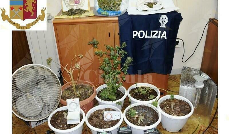 Coltivano marijuana in casa, in manette due fratelli di cui uno minorenne