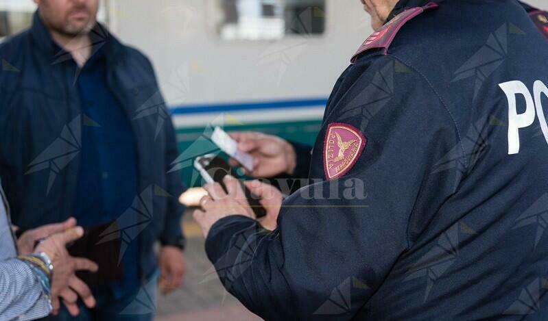 Bestiame incustodito causa incidente ferroviario in Calabria, denunciato un pastore