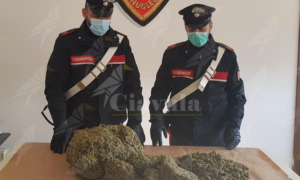 Calabria: Sorpreso sulla SS 106 con 5 kg di marijuana nell’auto, arrestato item-thumbnail