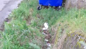 Raccolta rifiuti a Pezzolo di Caulonia, il lettore: “Una raccolta tardiva non impedisce la diffusione delle plastiche nell’ambiente” item-thumbnail