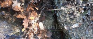 Segnalazione, rottura della condotta idrica in contrada Pezzolo di Caulonia item-thumbnail