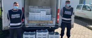 Maxi operazione della Guardia Costiera: 7000kg di pesce sequestrato e sanzioni per 200 mila euro item-thumbnail
