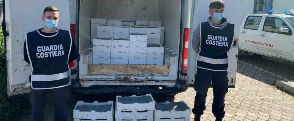 Maxi operazione della Guardia Costiera: 7000kg di pesce sequestrato e sanzioni per 200 mila euro