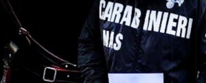 Sicurezza alimentare, sanzioni per un totale di 5000 euro a due locali di Laureana di Borrello item-thumbnail
