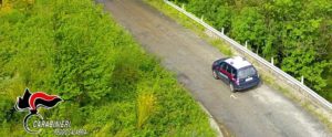 Laureana di Borrello: storia a lieto fine per Ivan, ritrovato dai carabinieri dopo 3 giorni di ricerche item-thumbnail