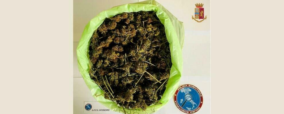 Nascondeva oltre 700gr di marijuana nella lavanderia, in manette un calabrese