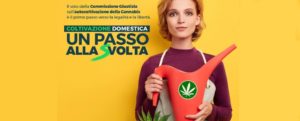 Coltivazione domestica di cannabis, le Sardine aderiscono all’appello di IoColtivo.eu item-thumbnail