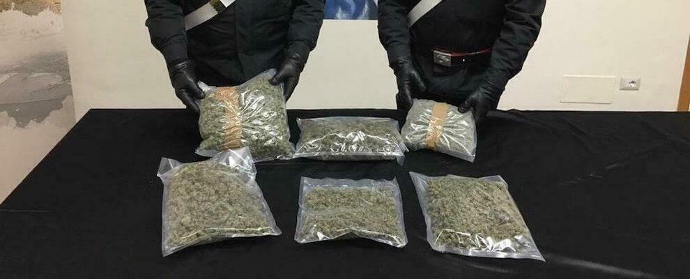 Trovati e sequestrati dai carabinieri oltre 2,5kg di marijuana