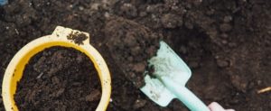 Caulonia, dall’umido prodotto compost disponibile gratuitamente per gli agricoltori item-thumbnail