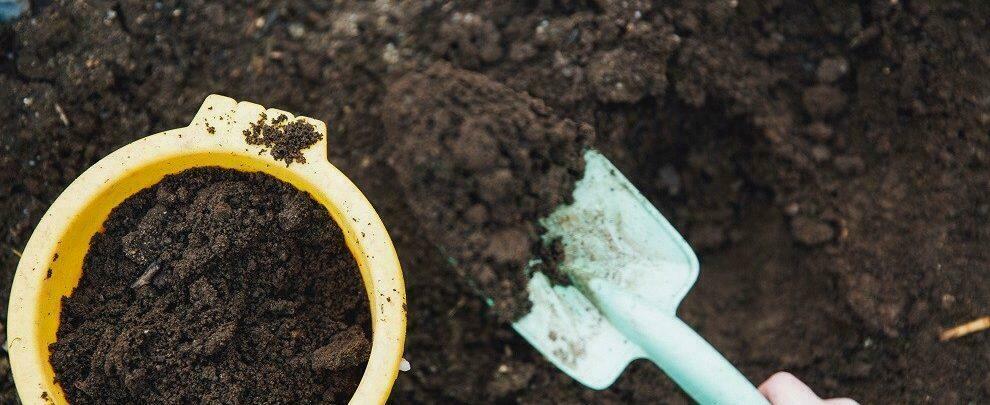 Caulonia, dall’umido prodotto compost disponibile gratuitamente per gli agricoltori