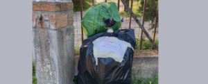 Ardore Marina, completata la pulizia della spiaggia “Pozzosecco” item-thumbnail