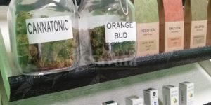 Coweed experience: Lo Store di CBD, panacea per tutti i mali item-thumbnail