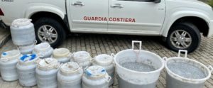 470kg di novellame sequestrati dalla Guardia Costiera di Roccella Jonica item-thumbnail
