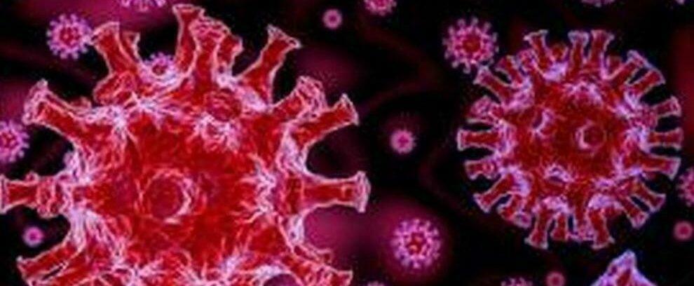 Coronavirus, oggi in Calabria 6 decessi e 1038 nuovi casi positivi