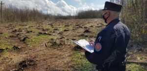 Calabria: Sorpresi a tagliare il castagneto del vicino. Arrestate 5 persone item-thumbnail