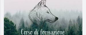 Convivenza tra uomo e lupo. Il corso di formazione del WWF item-thumbnail