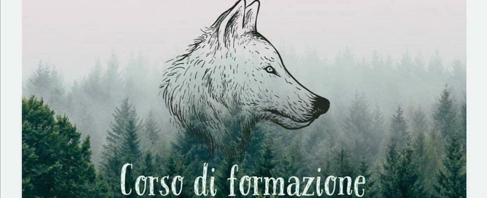 Convivenza tra uomo e lupo. Il corso di formazione del WWF