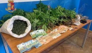 Coltiva cannabis nel proprio orto, denunciato item-thumbnail