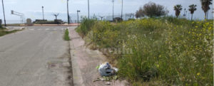 Spazzatura abbandonata nei pressi del Lungomare di Caulonia item-thumbnail