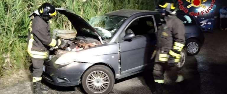 Incidente stradale nel Vibonese, un morto e due feriti gravi - Ciavula