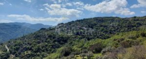 Caulonia: continua l’impegno dell’associazione Ursini Rinasce item-thumbnail