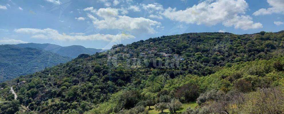 Caulonia: continua l’impegno dell’associazione Ursini Rinasce