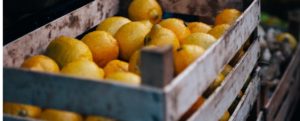 Strada invasa dai limoni per il ribaltamento di un camion item-thumbnail