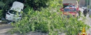 Esce fuori strada e si schianta contro un albero item-thumbnail