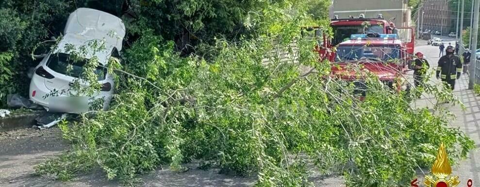 Esce fuori strada e si schianta contro un albero