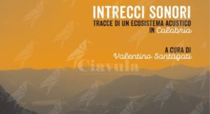 Gli intrecci sonori della Calabria rurale di Valentino Santagati item-thumbnail