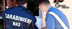Sevizie e maltrattamenti a cani: 17 avvisi di garanzia per i gestori di un canile a Sant’Ilario dello Jonio item-thumbnail