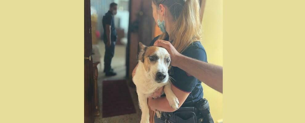 Fiamme in uno stabile a Reggio Calabria, la polizia salva inquilini e animali domestici