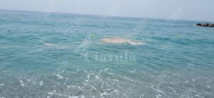 La segnalazione della lettrice: “Stamattina a Roccella il mare è sporco” item-thumbnail