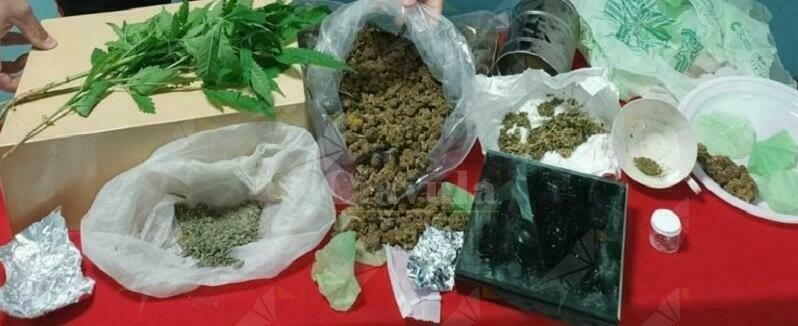 Calabria: Detiene in casa 300 grammi di marijuana e 3 piante di canapa indiana, arrestato