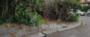 Caulonia, i cittadini di via Gramsci chiedono al comune di garantire i servizi minimi di igiene item-thumbnail