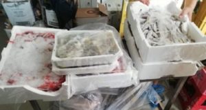 Calabria: La guardia costiera sequestra 900 kg di prodotto ittico item-thumbnail