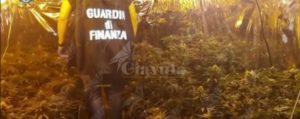 Operazione “Secret garden”: Sequestrati 9 kg di marijuana, un arresto item-thumbnail