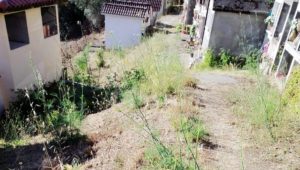 Pulito il cimitero di Crochi, gli abitanti delle frazioni ringraziano item-thumbnail